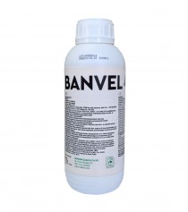 Banvel 4S herbicidas, 1 l